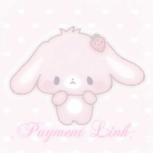 Payment Link°♡༚˚₊·